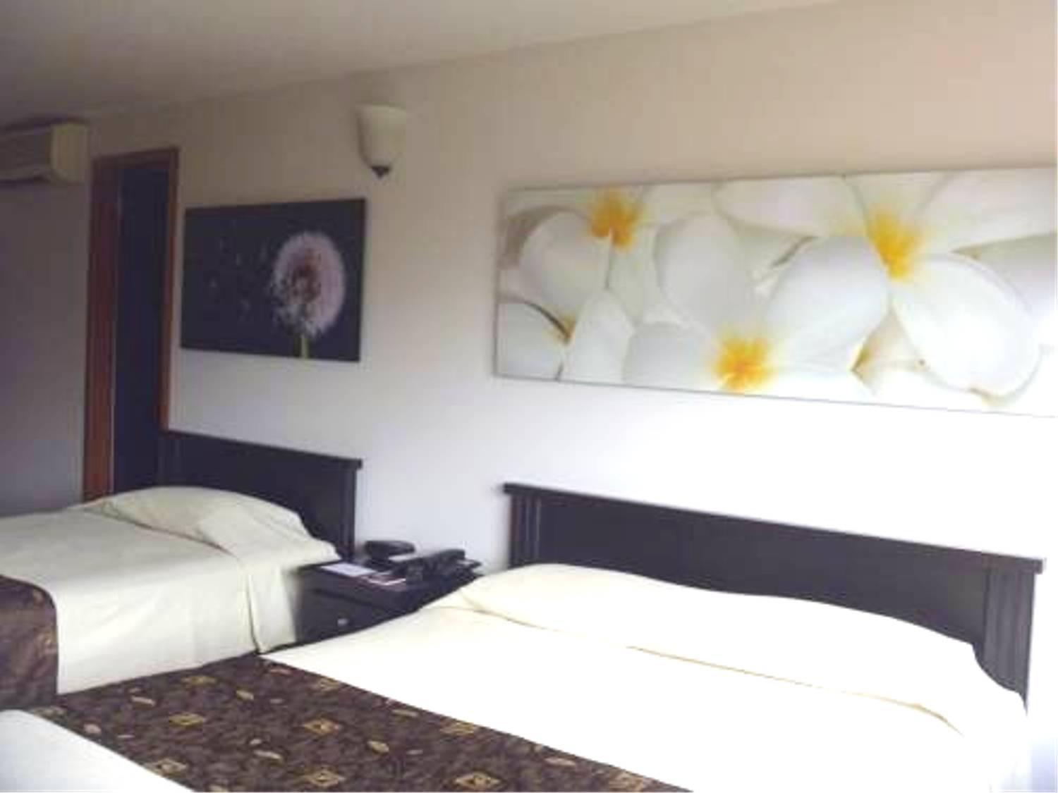 Hotel Plaza Rosa Medellin Exterior photo