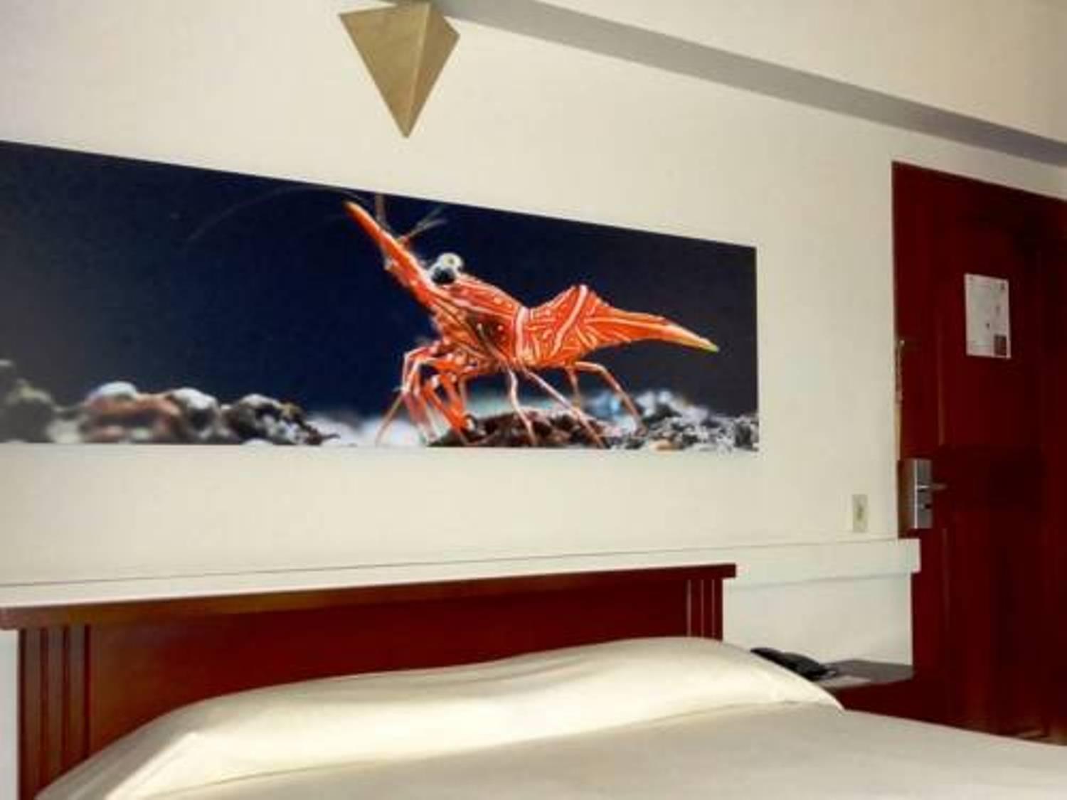 Hotel Plaza Rosa Medellin Exterior photo