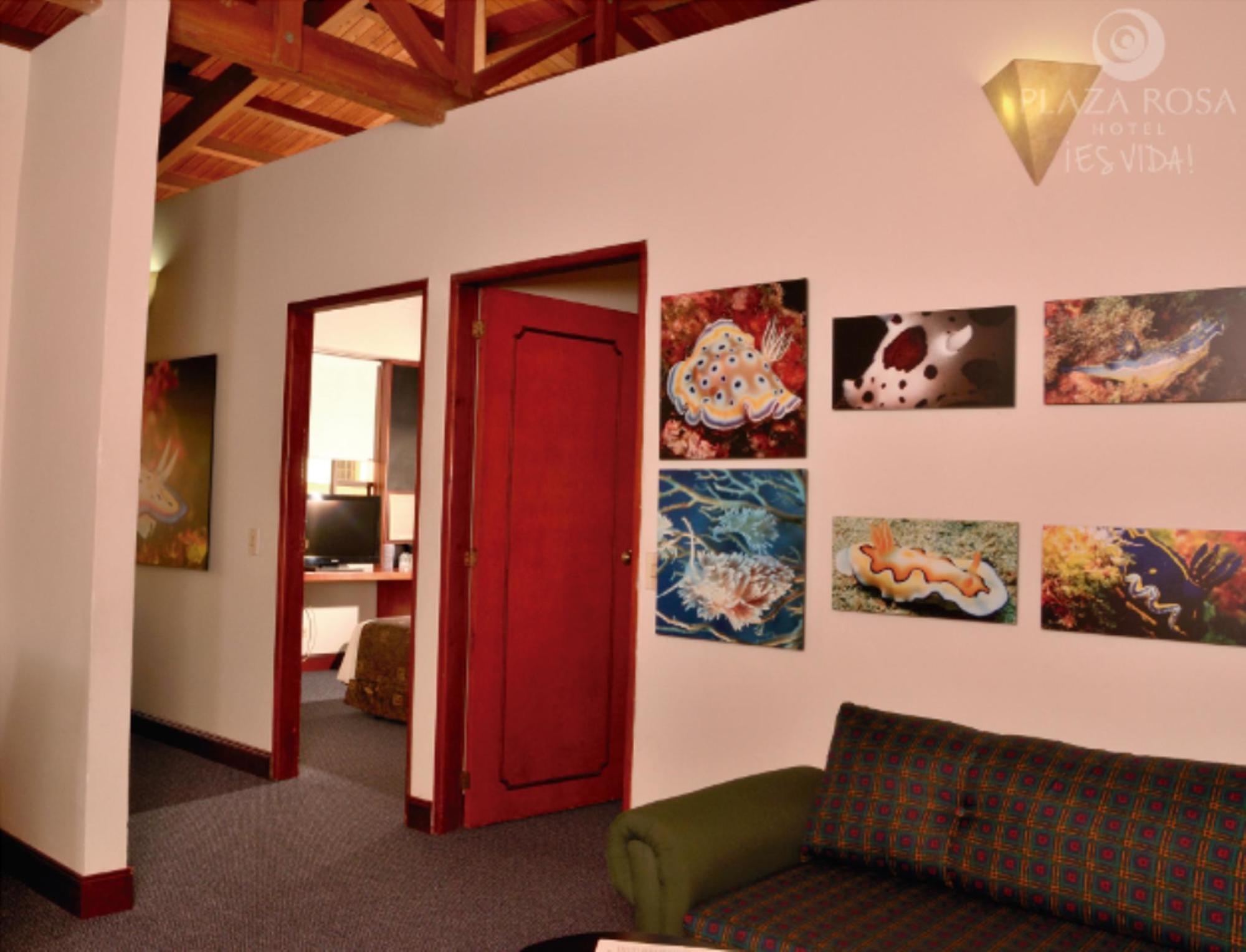Hotel Plaza Rosa Medellin Exterior photo